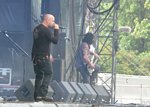 Disturbed