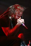 In Flames
