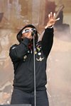 Skindred