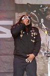 Skindred