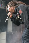 Skindred