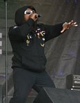 Skindred