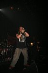Soil