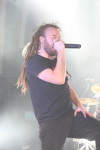 In Flames