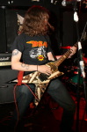 Feral