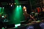 In Flames