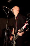 The Rotted 