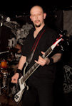 The Rotted 