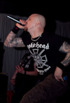 The Rotted 