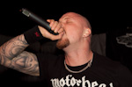The Rotted 