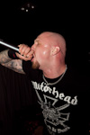 The Rotted 