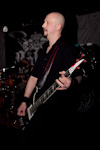 The Rotted 