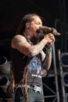 Amorphis - Live at Bloodstock Open Air 2013