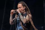 Amorphis - Live at Bloodstock Open Air 2013