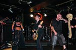 Panic Cell
