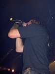 Susperia