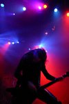 W.A.S.P.