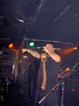 Wakefield Snooty Fox