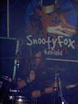 Wakefield Snooty Fox