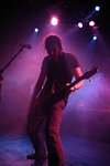 Mastodon