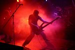 Mastodon