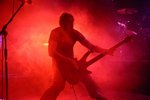 Mastodon