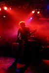Mastodon