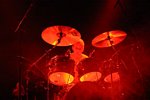 Mastodon