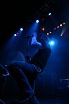 Alter Bridge