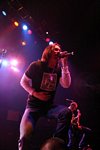 Alter Bridge