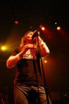 Alter Bridge